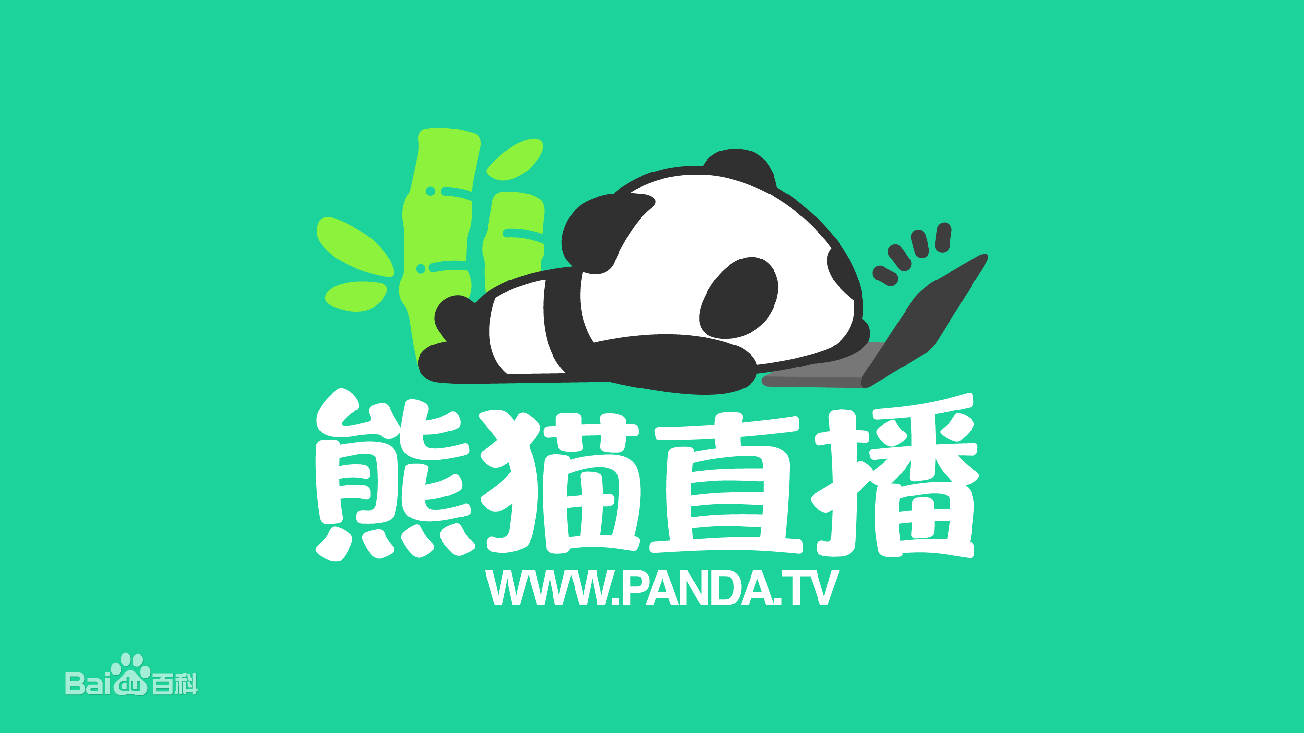 再见了，Panda TV